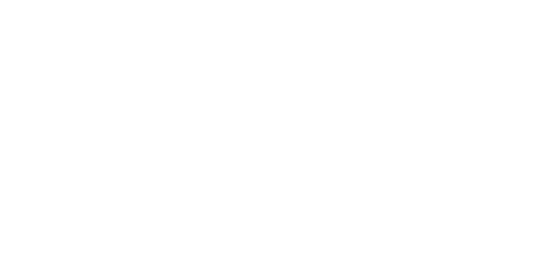 Mobyt